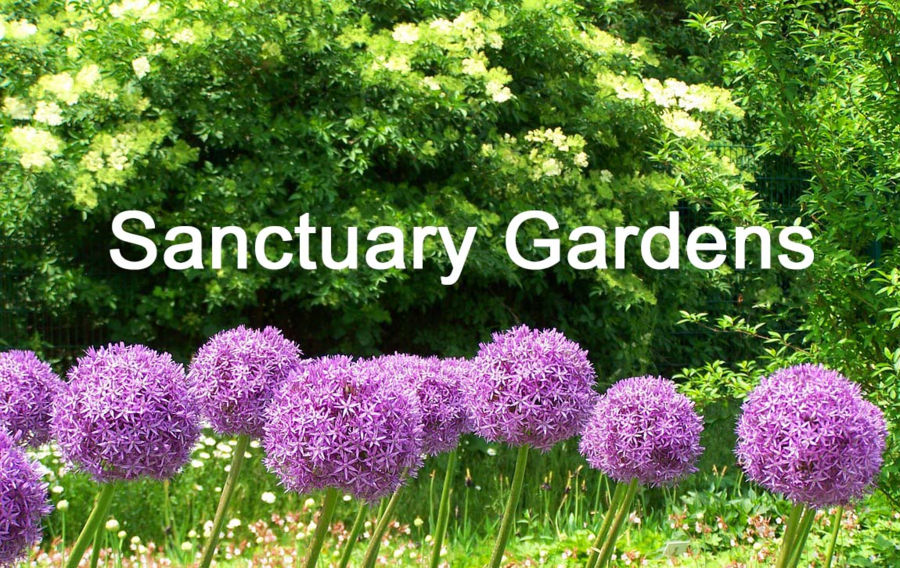 Sanctuary Garden Design
